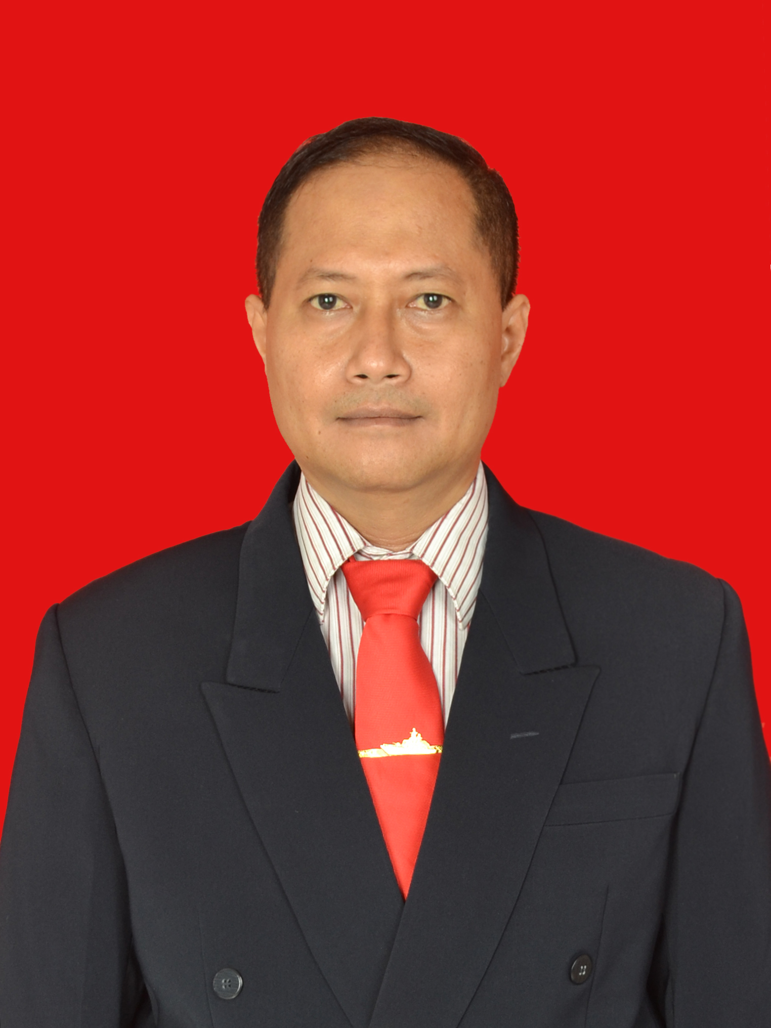 Statistical Editor